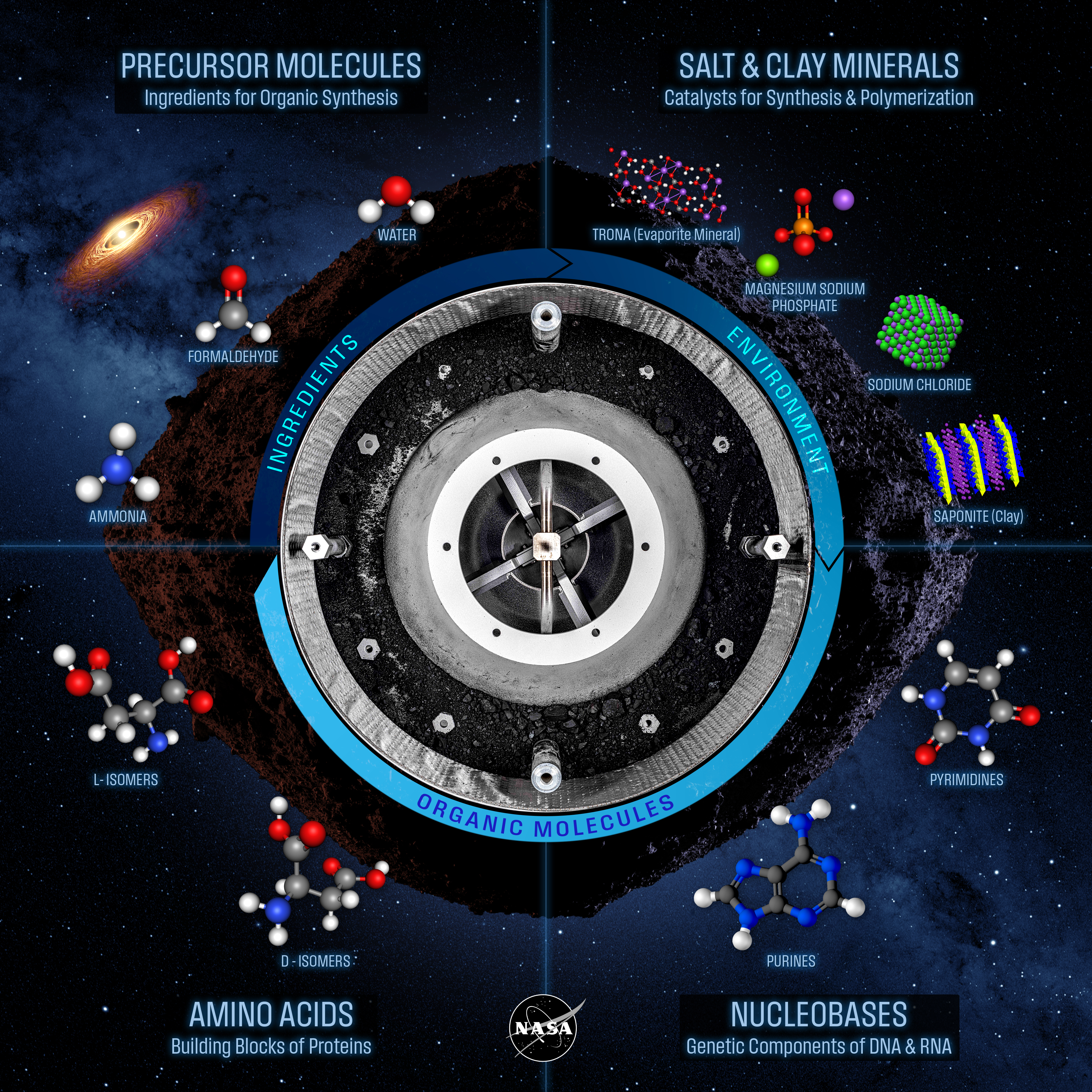 The inforgraphic shows an image of the sample which is gray loose soil over imposted to the rhumbus shaped of the asteriiud. Around this space illustrations of some fo the discoveries. Ammonia, formaldehyde, water,  evaporite minerals such as magnesium sodium phosphates, sodium chloride and clay, pyrimidines and purines, as well as amino acids.