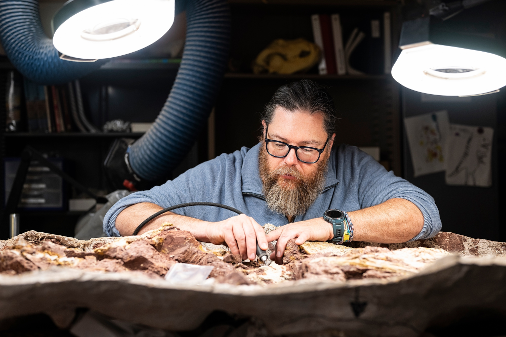 UW Geology Museum scientist David Lovelace removing sediment from around a fossil in plaster cast as he works in the museum’s specimen preparation room in Weeks Hall at the University of Wisconsin–Madison on June 3, 2024.