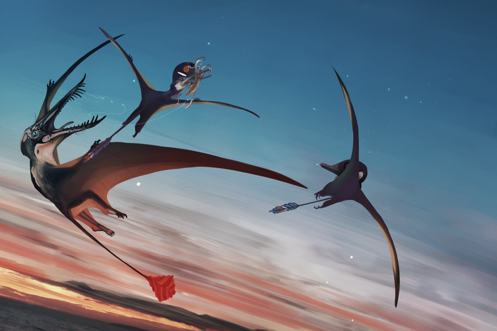 pterosaurs fishing for squid