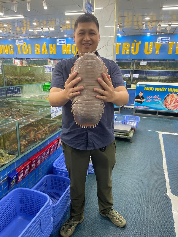 Dr. Nguyen Thanh Son holding a giant specimen of another species of giant isopod found in Vietnam (B. jamesi) that weighed 2.62 kg from a seafood market in Hanoi, October 2024.