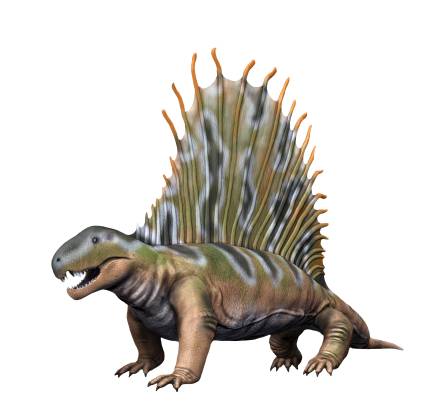 Artist's impression of Dimetrodon gigashomogenes