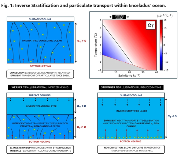 Three scenarios for Enceladus's ocean: the traditional one where convection drives mixing (top left), with inverse stratification but different amounts of tidal forcing (bottom) and how temperature and salinity affect a vital factor (top right).