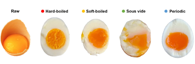 Eggs cooked using different techniques.