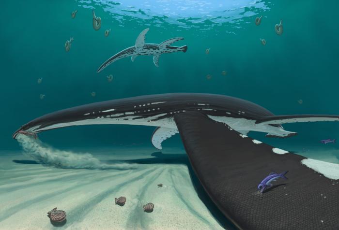 Reconstruction of the new plesiosaur with scales on the flipper and smooth scale-less skin along the body