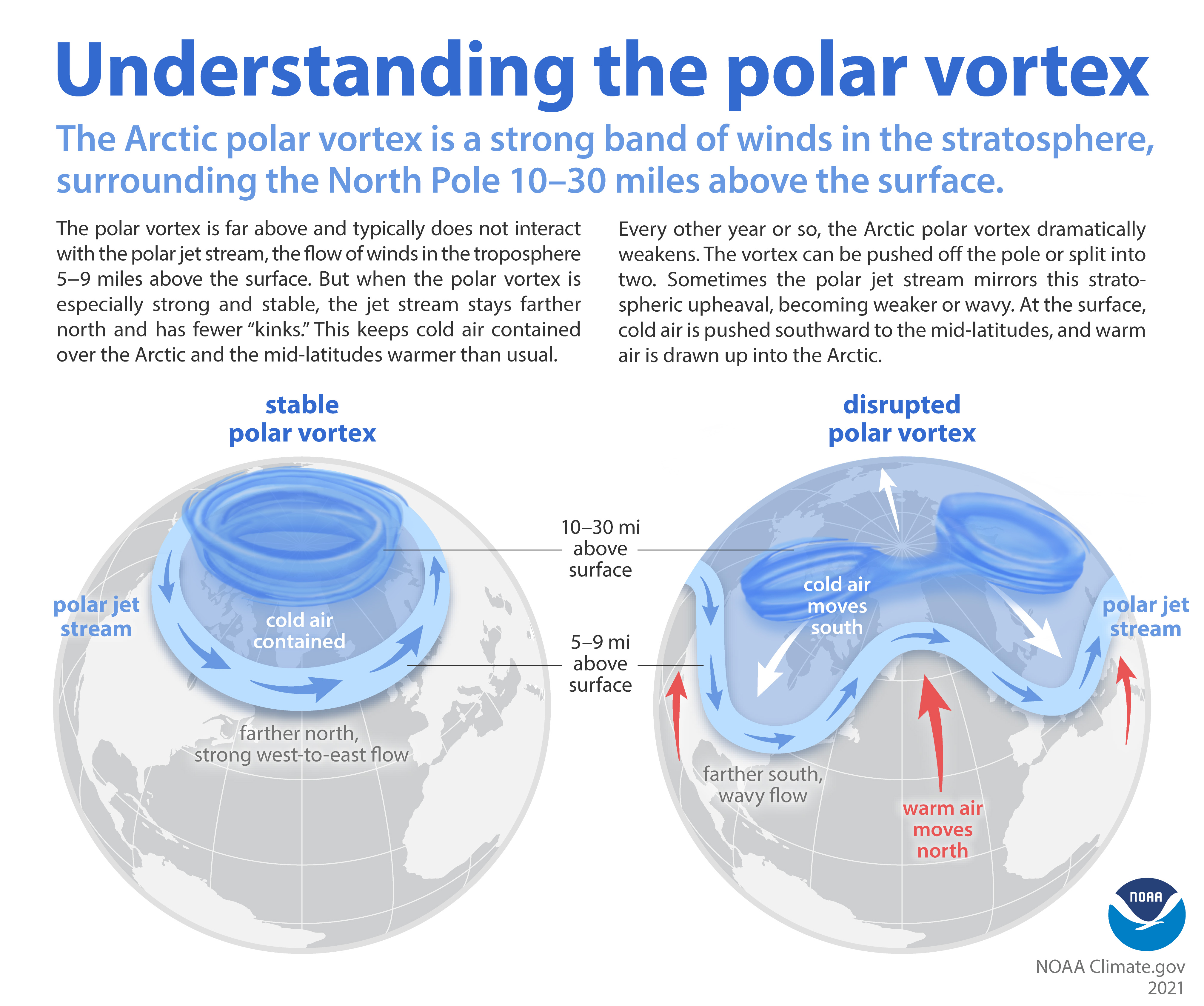 An illustration of how the polar vortex can impact weather in the Northern Hemisphere