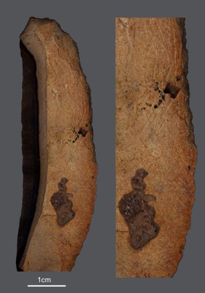 Stone blade from Amud Cave