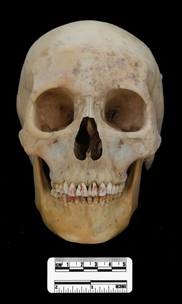 Skull of the Red Princess of the Silk Road