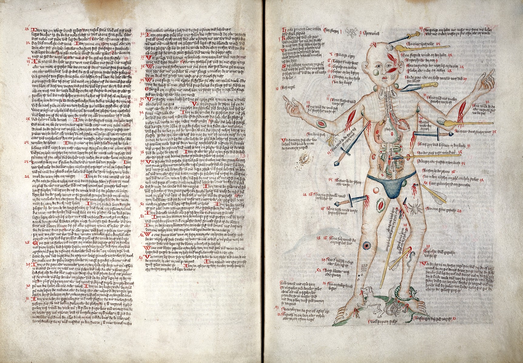 A photo of a German Wound Man (on the right hand page) and accompanying text (on the left). This wound man is not completely naked - he is wearing a kind of thong - and has his arms raised to shoulder height. His body is being pierced by all the usual bladed weapons but he is also being attacked by animals, including a tiny dog, a scorpion, a spider and a snake. 