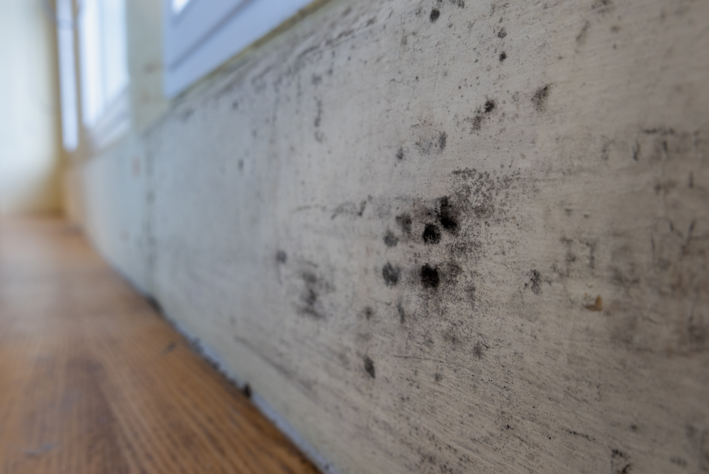 white skirting board with black mold