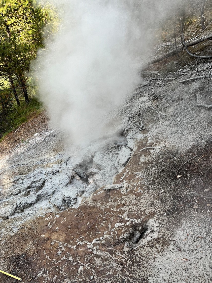 Looking southeast at the hydrothermal feature that formed in August 2024 just north of Nymph Lake. Steam is emanating from a vent that is partially full of water to create the frying pan feature nestled in the newly formed vent. A thin grey layer of silica mud covers the vent area. 