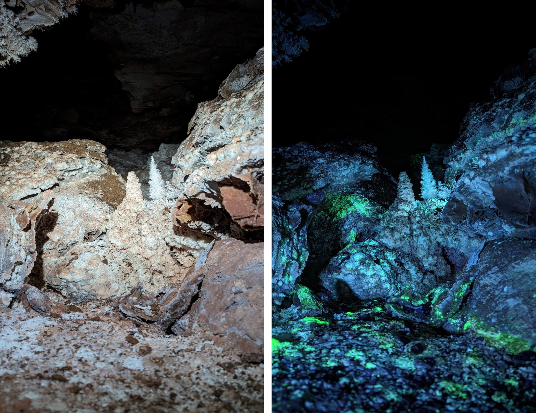 Comparison of part of Wind Cave under normal optical light and ultraviolet.