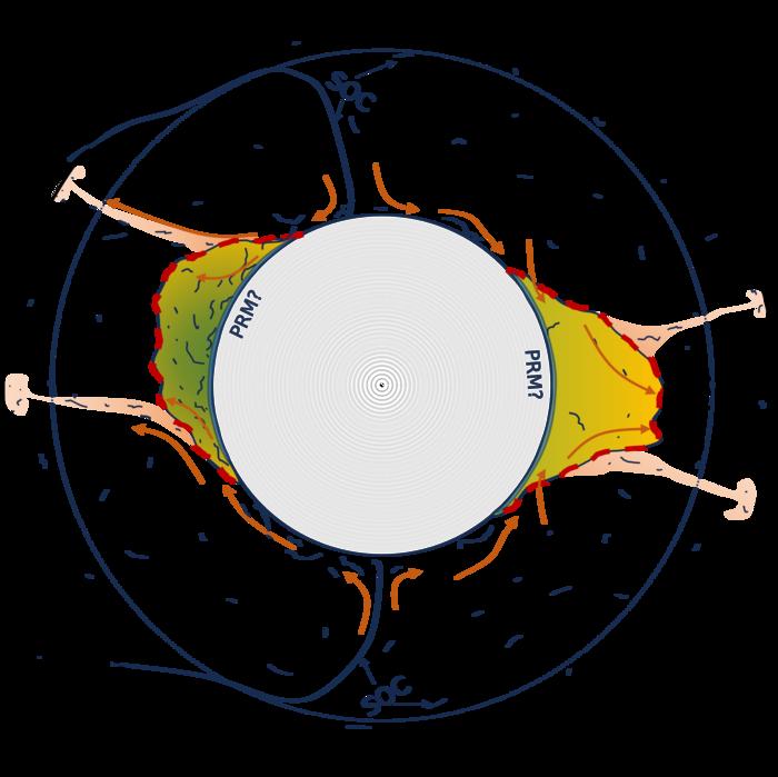 Comparison of the two LLVPs. Young oceanic crust is feeding the Pacific LLVPs (green), while the African is older, higher and better mixed. Each could be contributing to potentially volcanogenic mantle plumes