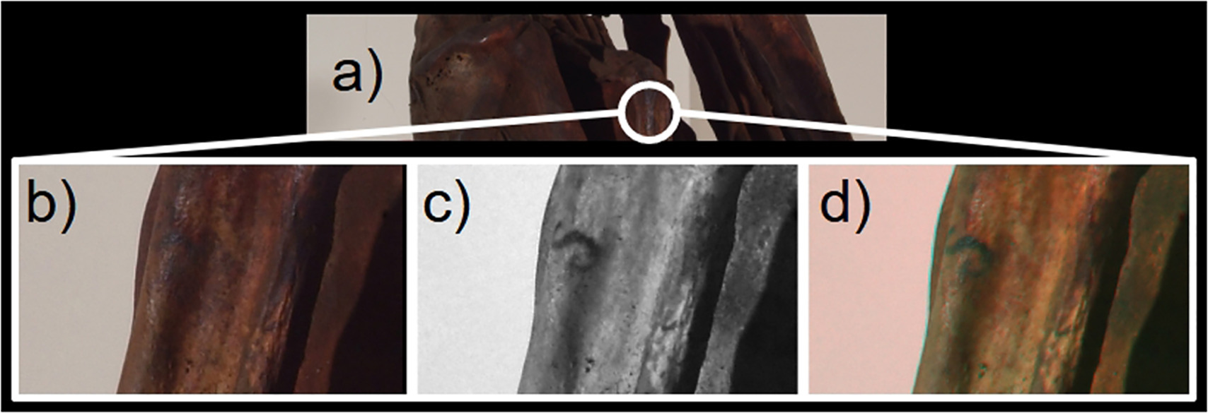 The unusual S-shaped tattoo on the Turin mummy's wrist. The unusual S-shaped tattoo on the Turin mummy's wrist.