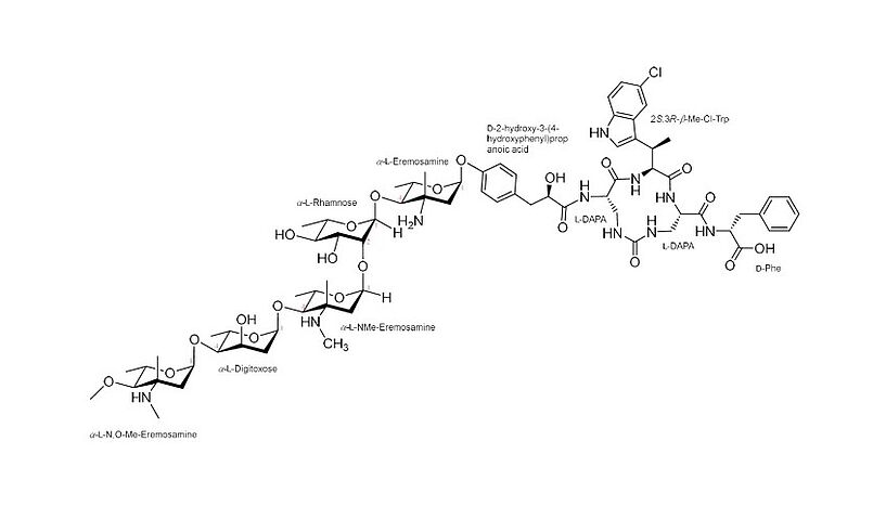 The illustration depicts the chemical structure of saarvienin A, new antibiotic that is active against bacteria resistant to many currently used antibiotics. The illustration depicts the chemical structure of saarvienin A, new antibiotic that is active against bacteria resistant to many currently used antibiotics.