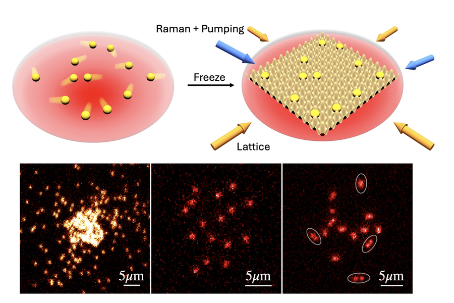 Top: Two renderings show how itinerant atoms in an atom trap (red) are suddenly frozen in place via an applied optical lattice and imaged via Raman sideband cooling. Bottom: Three microscope images show (left to right) bosonic 23Na forming a Bose-Einstein condensate; a single spin state in a weakly interacting 6Li Fermi mixture; and both spin states of a strongly interacting Fermi mixture, directly revealing pair formation. Top: Two renderings show how itinerant atoms in an atom trap (red) are suddenly frozen in place via an applied optical lattice and imaged via Raman sideband cooling. Bottom: Three microscope images show (left to right) bosonic 23Na forming a Bose-Einstein condensate; a single spin state in a weakly interacting 6Li Fermi mixture; and both spin states of a strongly interacting Fermi mixture, directly revealing pair formation.