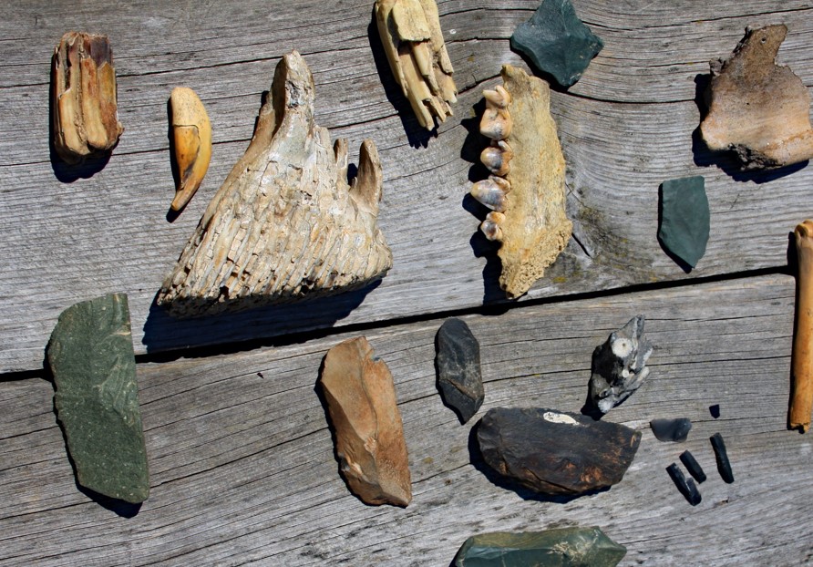 Artifacts and fossils from Denisova Cave Artifacts and fossils from Denisova Cave