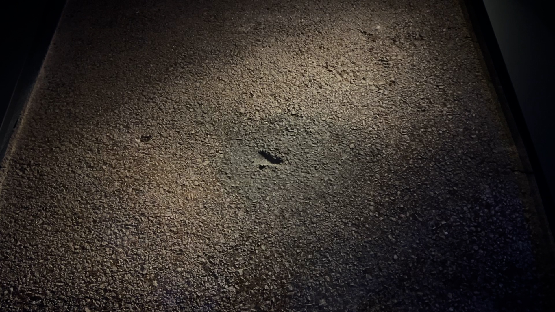 A piece of the driveway where the meteorite hit. a small dents is visible in the middle A piece of the driveway where the meteorite hit. a small dents is visible in the middle