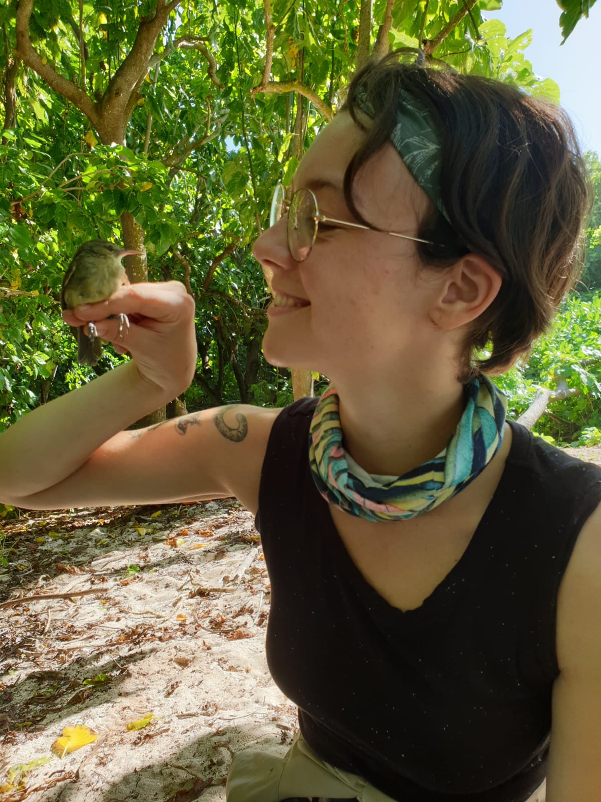 Frigg Speelman with a Seychelles warbler that is doing fine. Frigg Speelman with a Seychelles warbler that is doing fine.