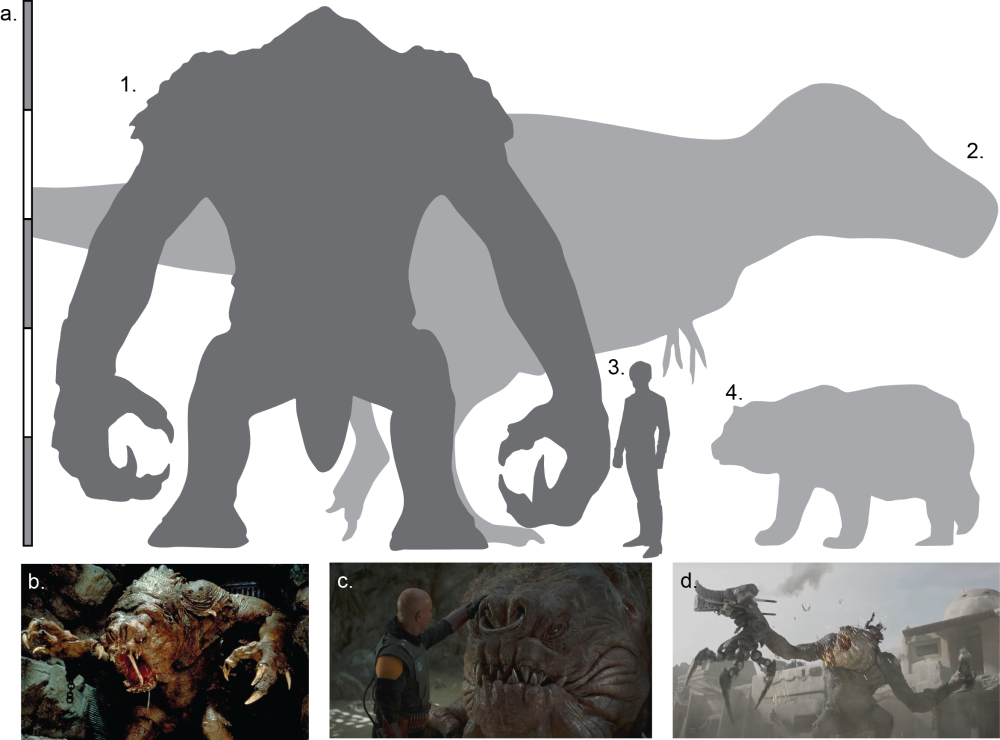 a rancor looks huge next to t. rex, then small bear and tiny human a rancor looks huge next to t. rex, then small bear and tiny human