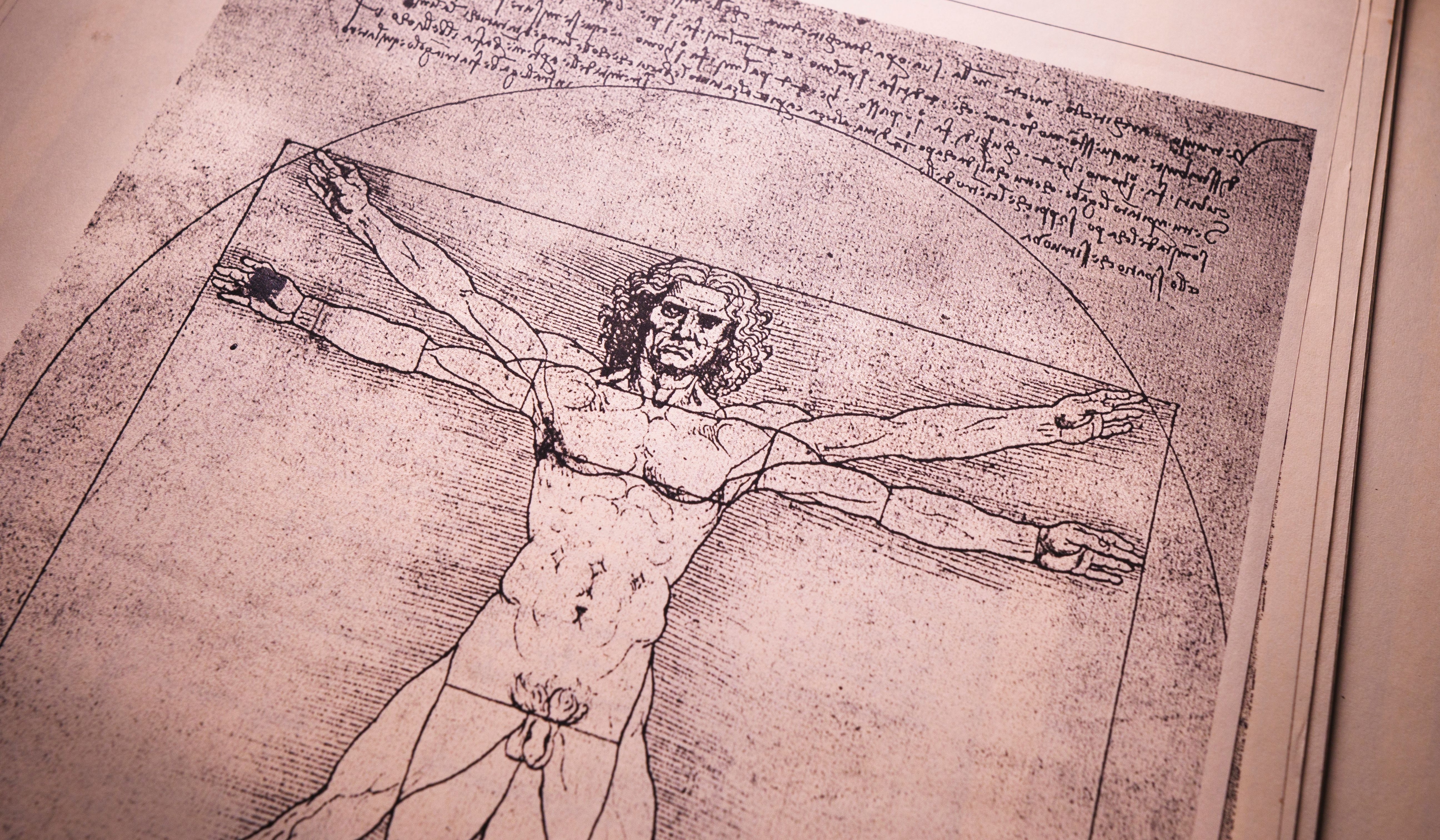 Many famous images are attributed to da Vinci, but the Vitruvian Man is one of the most iconic. Many famous images are attributed to da Vinci, but the Vitruvian Man is one of the most iconic.