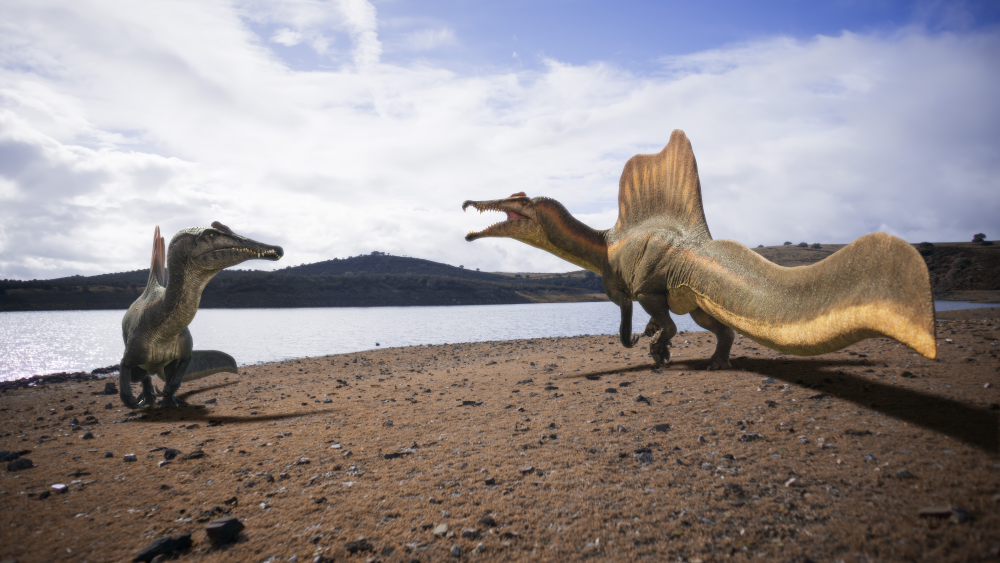 spinosaurus standing opposite another spinosaurus by a river, they both look like dragons spinosaurus standing opposite another spinosaurus by a river, they both look like dragons