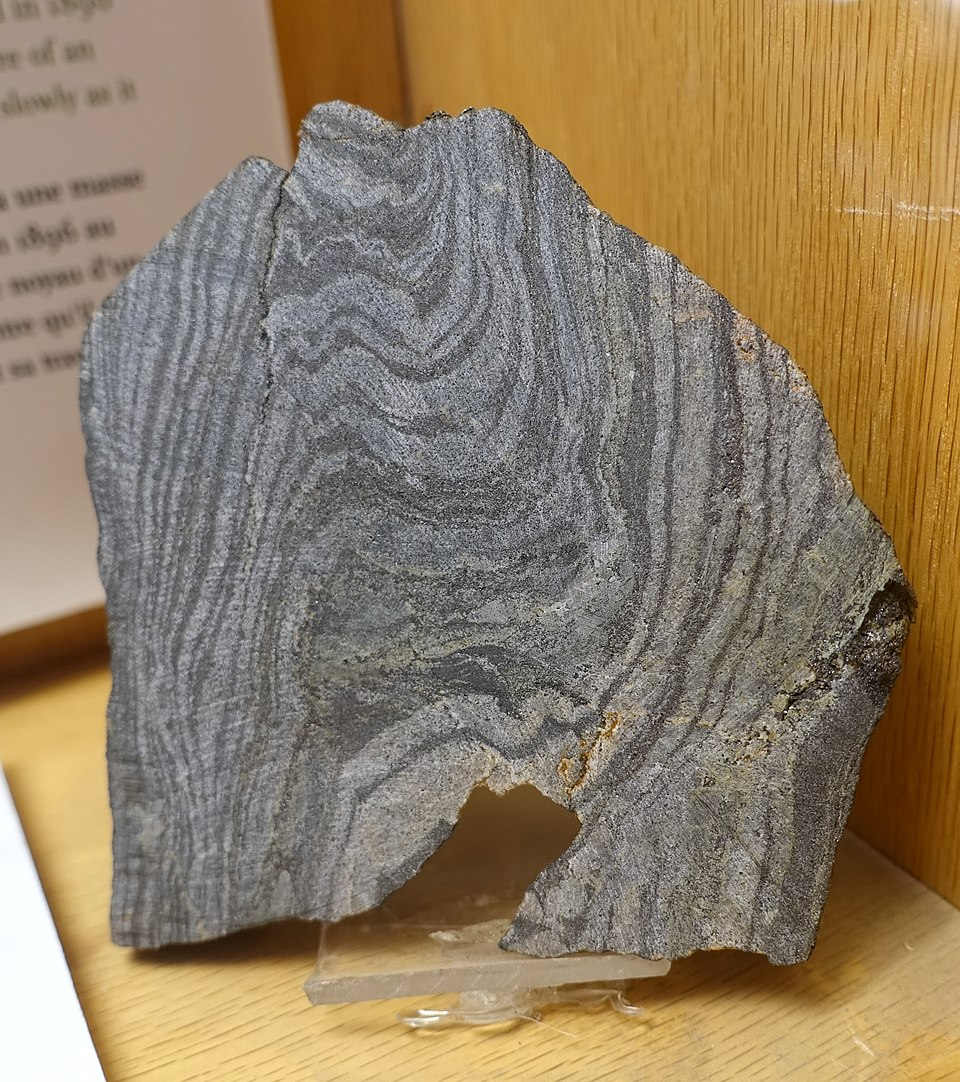 Banded iron from the Nuvvuagittuq Greenstone Belt, now in Redpath Museum, Montreal Banded iron from the Nuvvuagittuq Greenstone Belt, now in Redpath Museum, Montreal