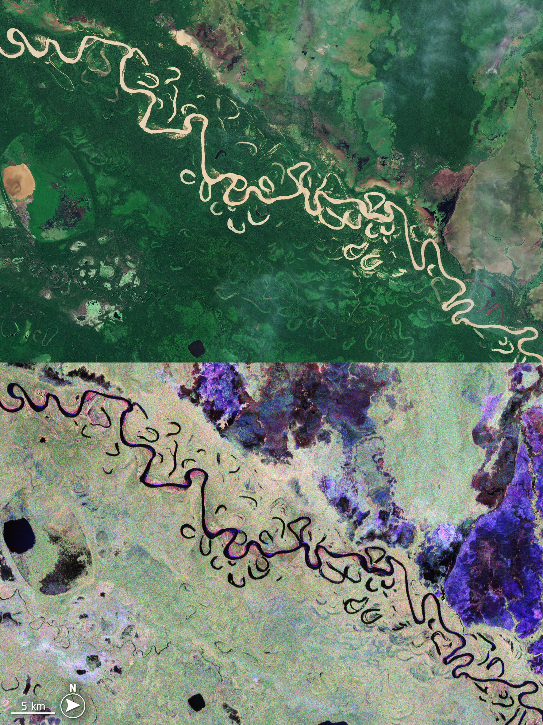 The images show a river meandering in the forest with several oxbow lakes coming from it. The Biomass image highlight different type of vegetation in differen colors. The images show a river meandering in the forest with several oxbow lakes coming from it. The Biomass image highlight different type of vegetation in differen colors.