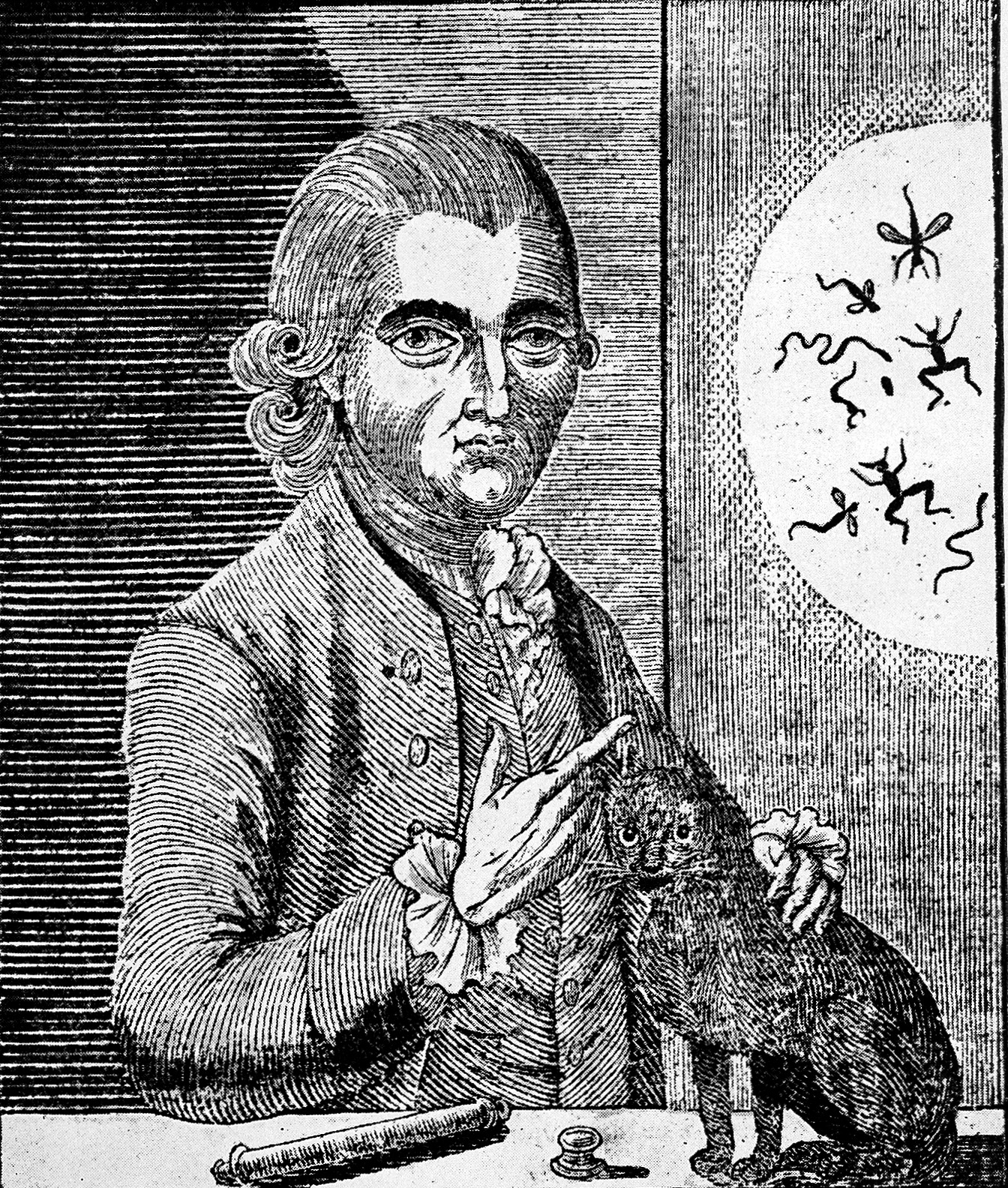 A woodcut engraving of Gustavus Katterfelto. The image shows him wearing a fine frock coat and powdered wig. He is stroking a black cat and pointing at a projection on the wall to his side. The projection shows small creatures that live in water, but they are much larger due to the apparatus he is using. A woodcut engraving of Gustavus Katterfelto. The image shows him wearing a fine frock coat and powdered wig. He is stroking a black cat and pointing at a projection on the wall to his side. The projection shows small creatures that live in water, but they are much larger due to the apparatus he is using.