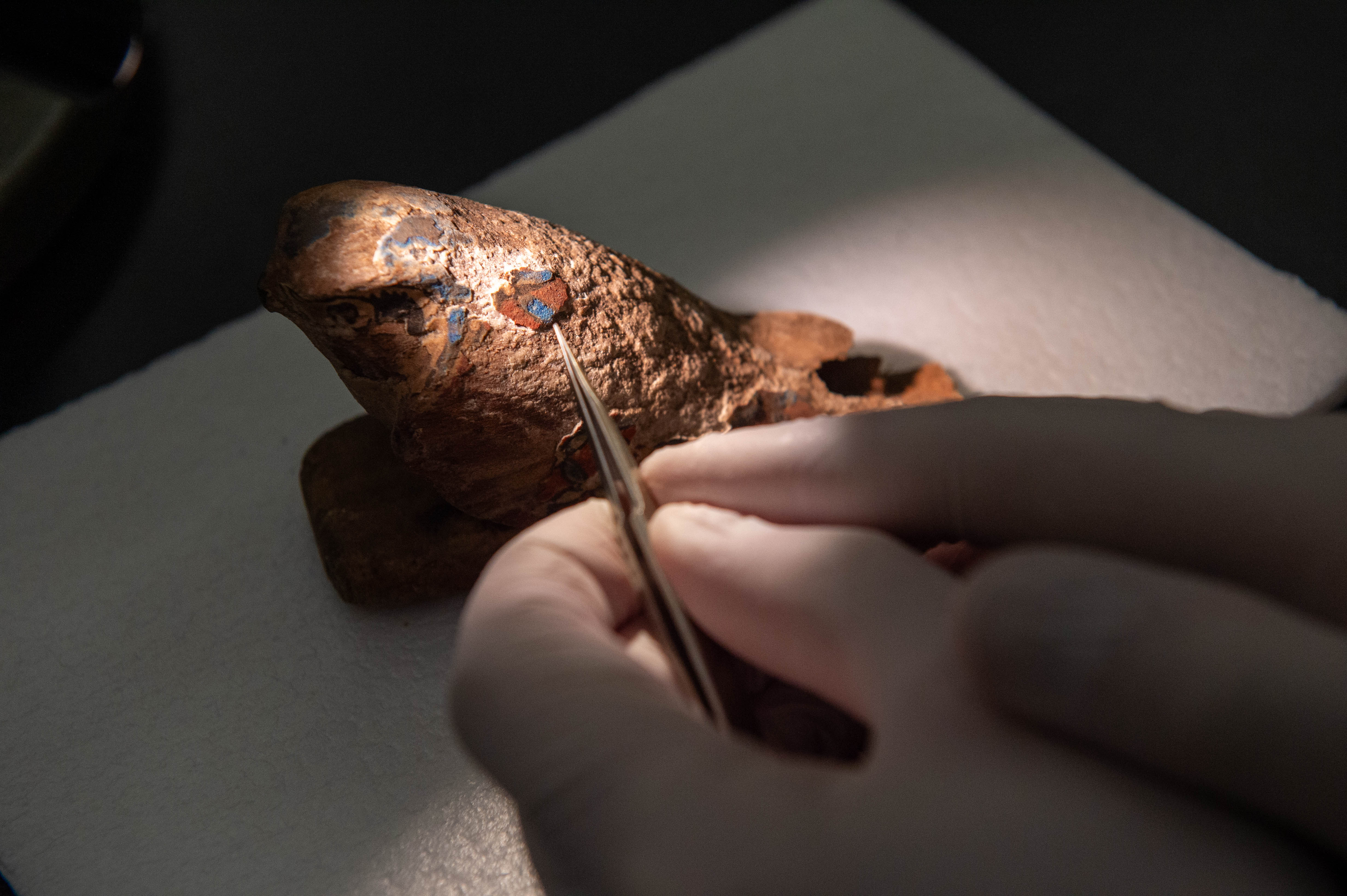 close up of wooden Egyptian artifact in the shape of a falcon; a researcher is sampling a tiny area of Egyptian blue on the surface with tweezers close up of wooden Egyptian artifact in the shape of a falcon; a researcher is sampling a tiny area of Egyptian blue on the surface with tweezers