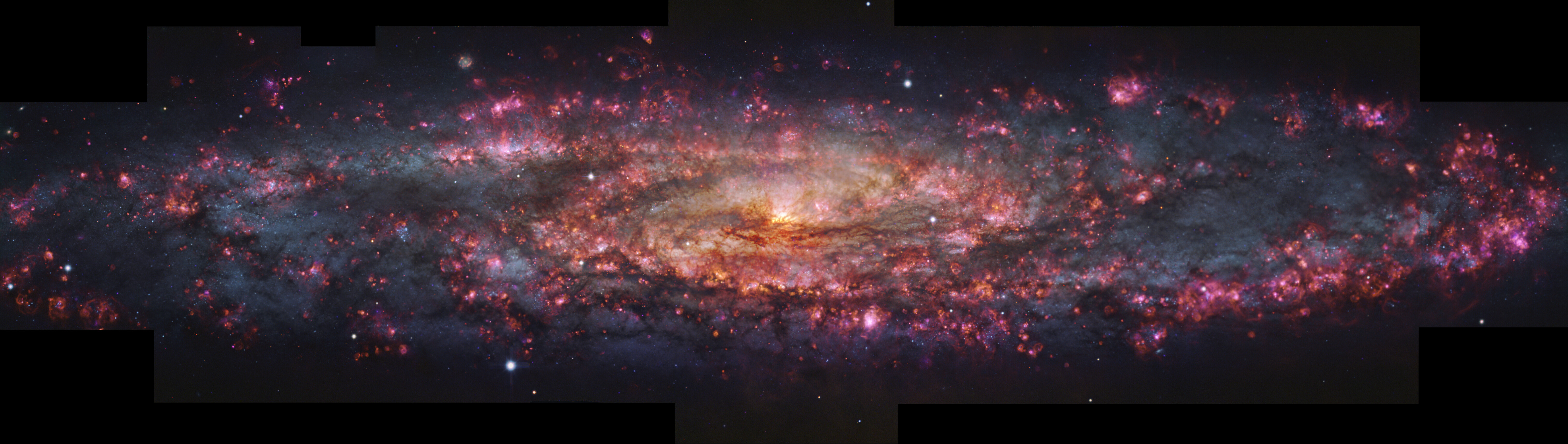A huge disk spiral galaxy scattered with pink light to show the ionised hydrogen star-forming regions and becoing more orange-yellow towards the center of the spiral A huge disk spiral galaxy scattered with pink light to show the ionised hydrogen star-forming regions and becoing more orange-yellow towards the center of the spiral