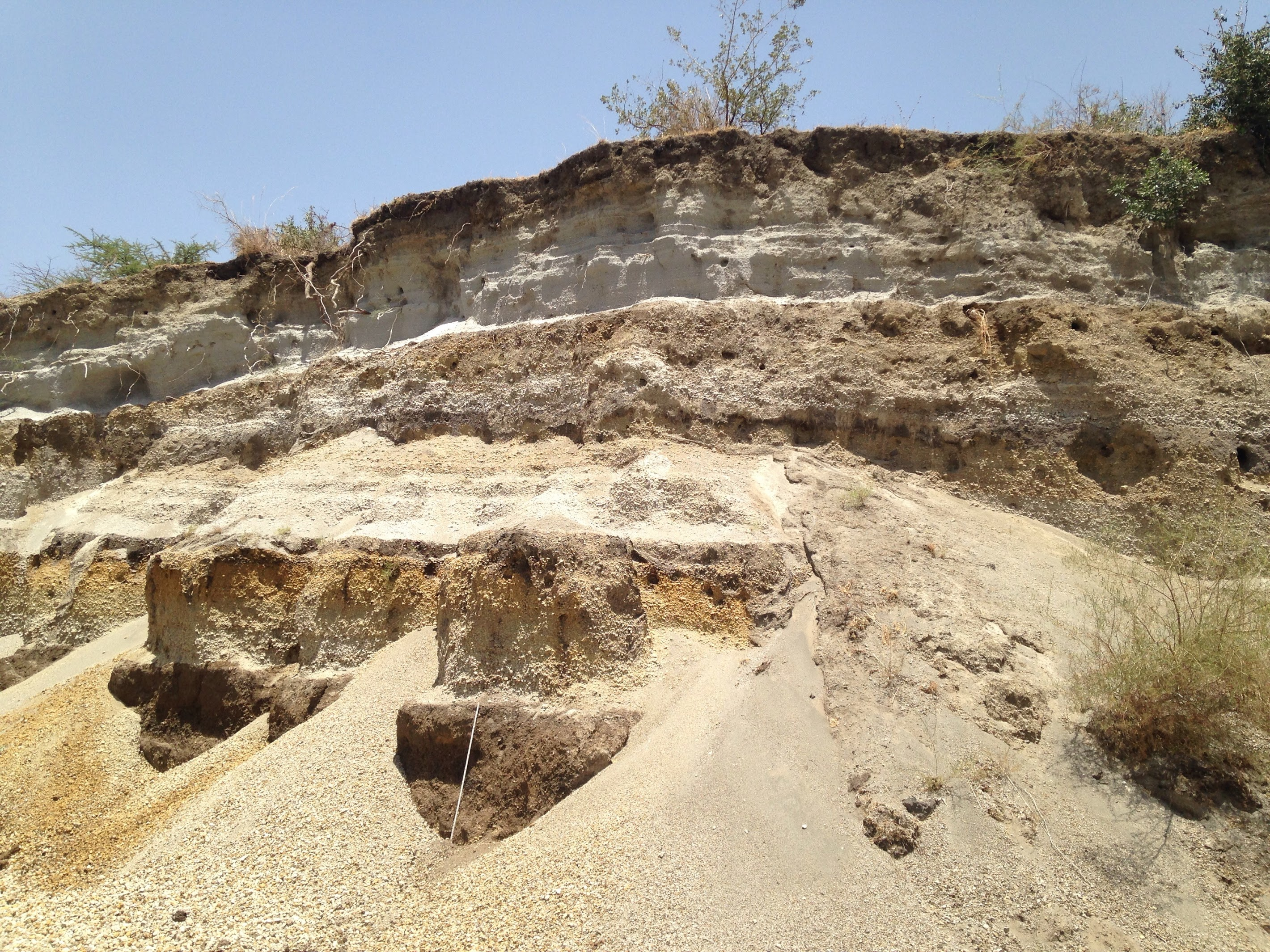 Volcanic deposits at Boset Volcano in the Main Ethiopian Rift reveal a volcanic succession with chemical differences over long periods of time Volcanic deposits at Boset Volcano in the Main Ethiopian Rift reveal a volcanic succession with chemical differences over long periods of time