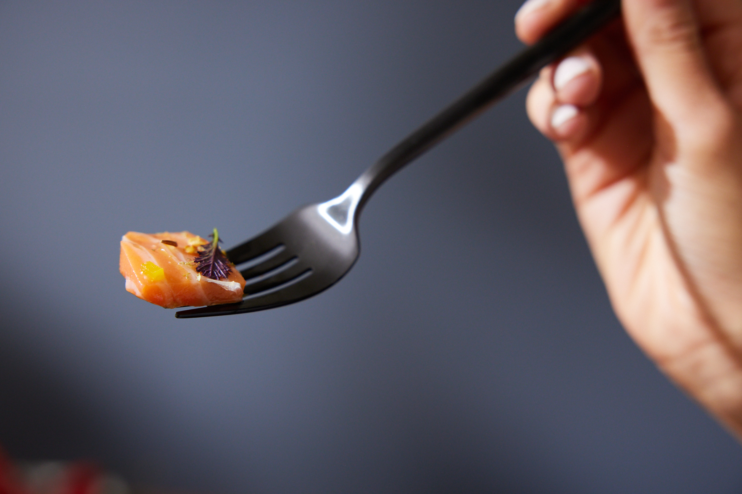 Lab-grown salmon on a fork Lab-grown salmon on a fork