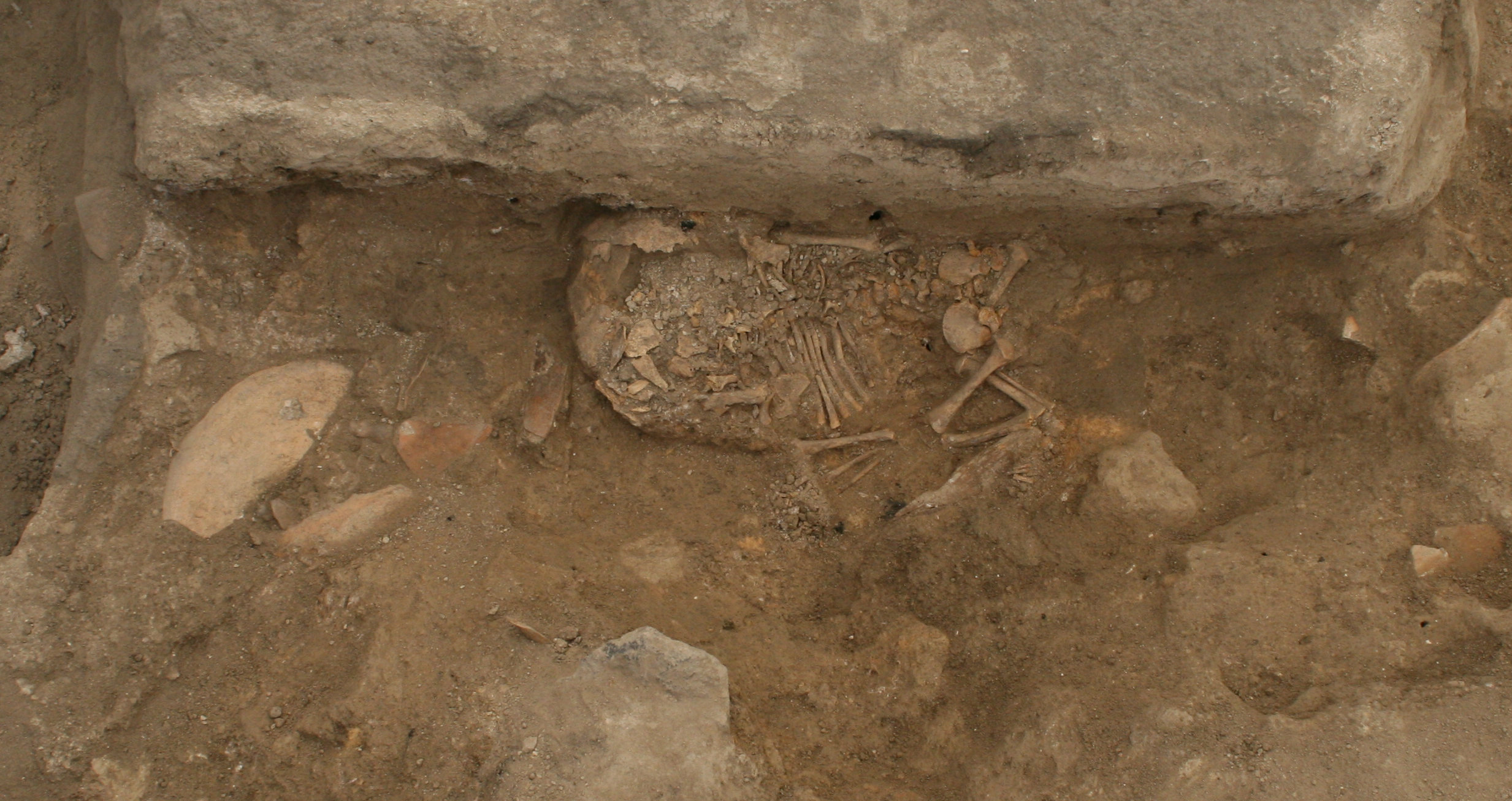 The only two bodies found at West Mound Çatalhöyük were newborn babies born between 5900 and 5800 BCE, there discovery provides context for the much larger number of bodies from East Mound. The only two bodies found at West Mound Çatalhöyük were newborn babies born between 5900 and 5800 BCE, there discovery provides context for the much larger number of bodies from East Mound.