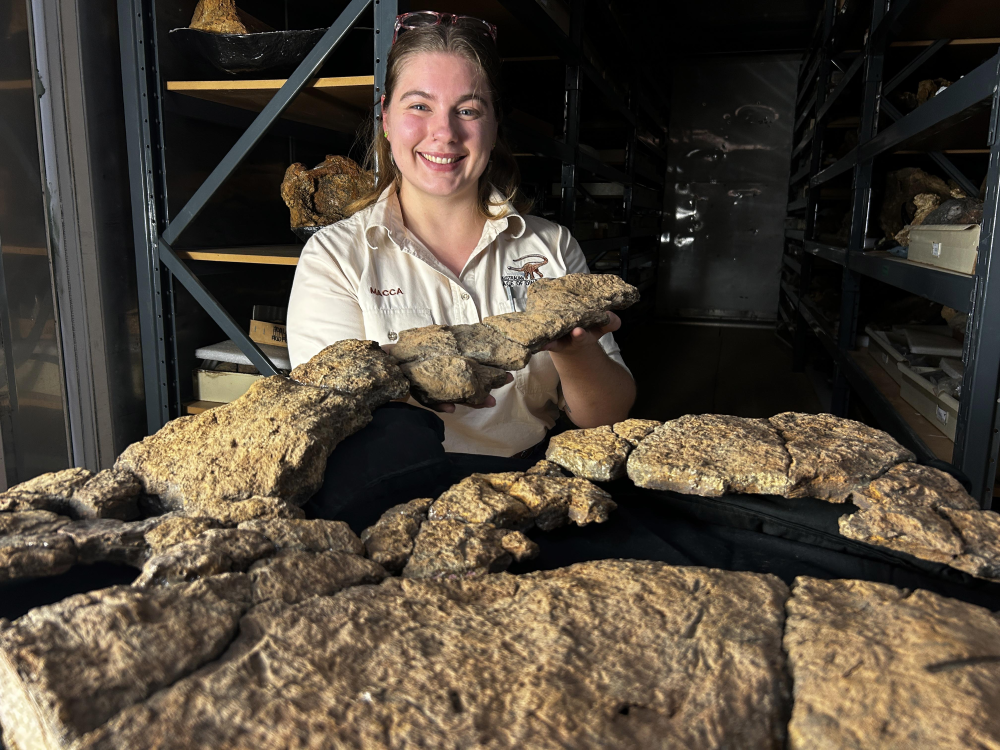 Australian Age of Dinosaurs Collection Manager Mackenzie Enchelmaier holds up sauropod gut content fossil. Australian Age of Dinosaurs Collection Manager Mackenzie Enchelmaier holds up sauropod gut content fossil.
