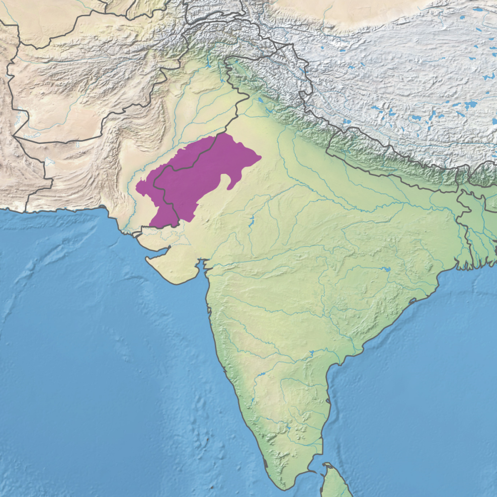 thar desert map shows the thar desert between indian and pakistan thar desert map shows the thar desert between indian and pakistan