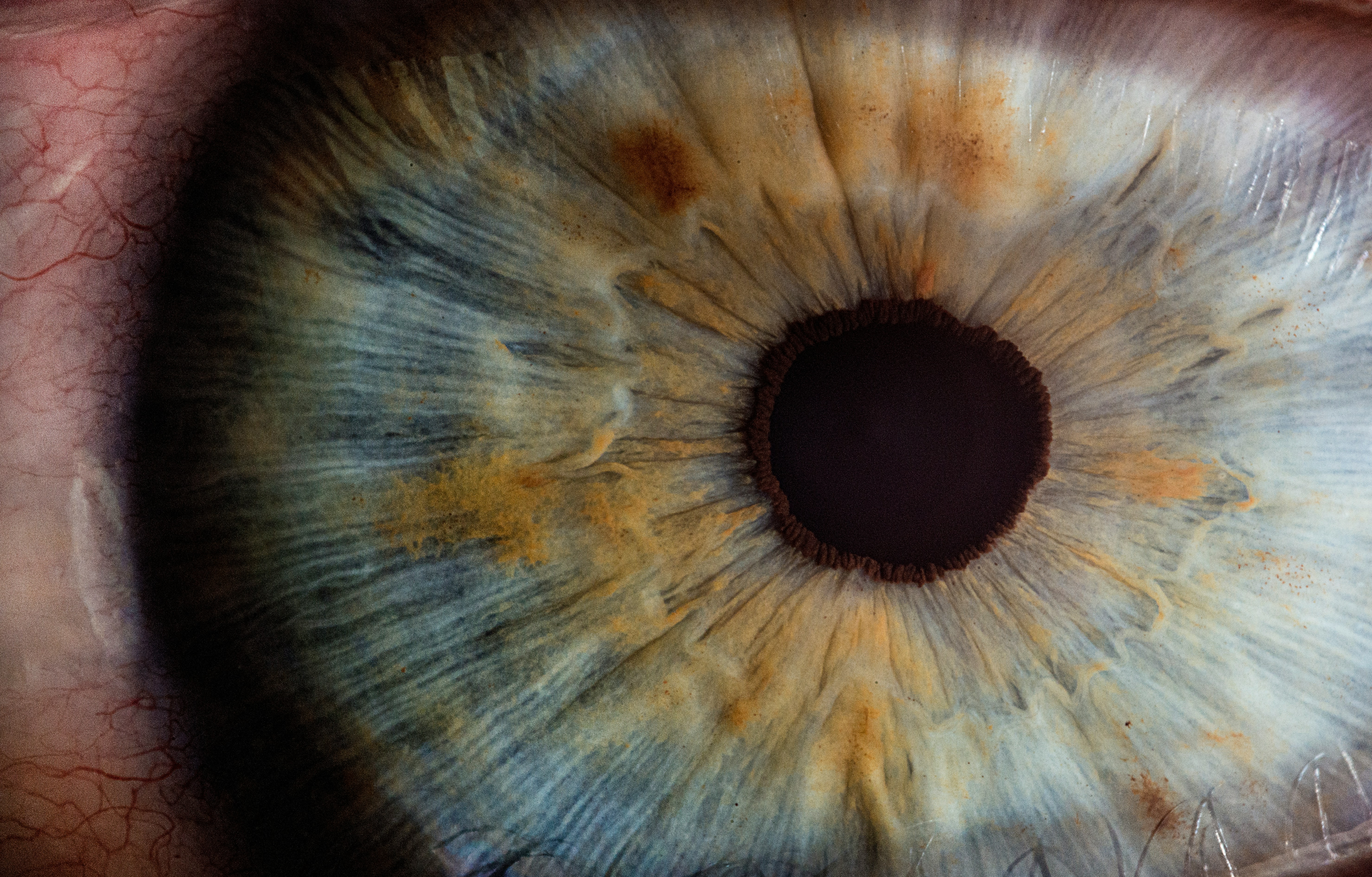 Close-up of a blue human eye with bits of green Close-up of a blue human eye with bits of green