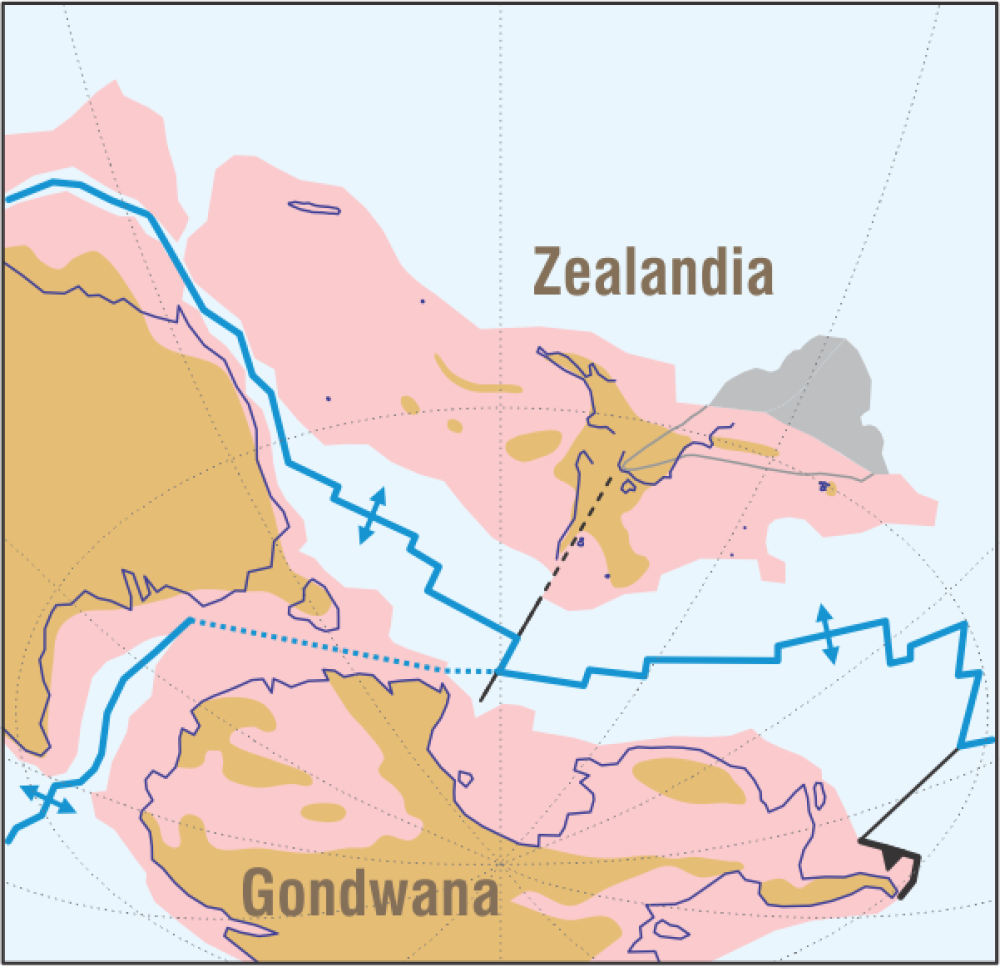 zealandia exiting gondwana zealandia exiting gondwana