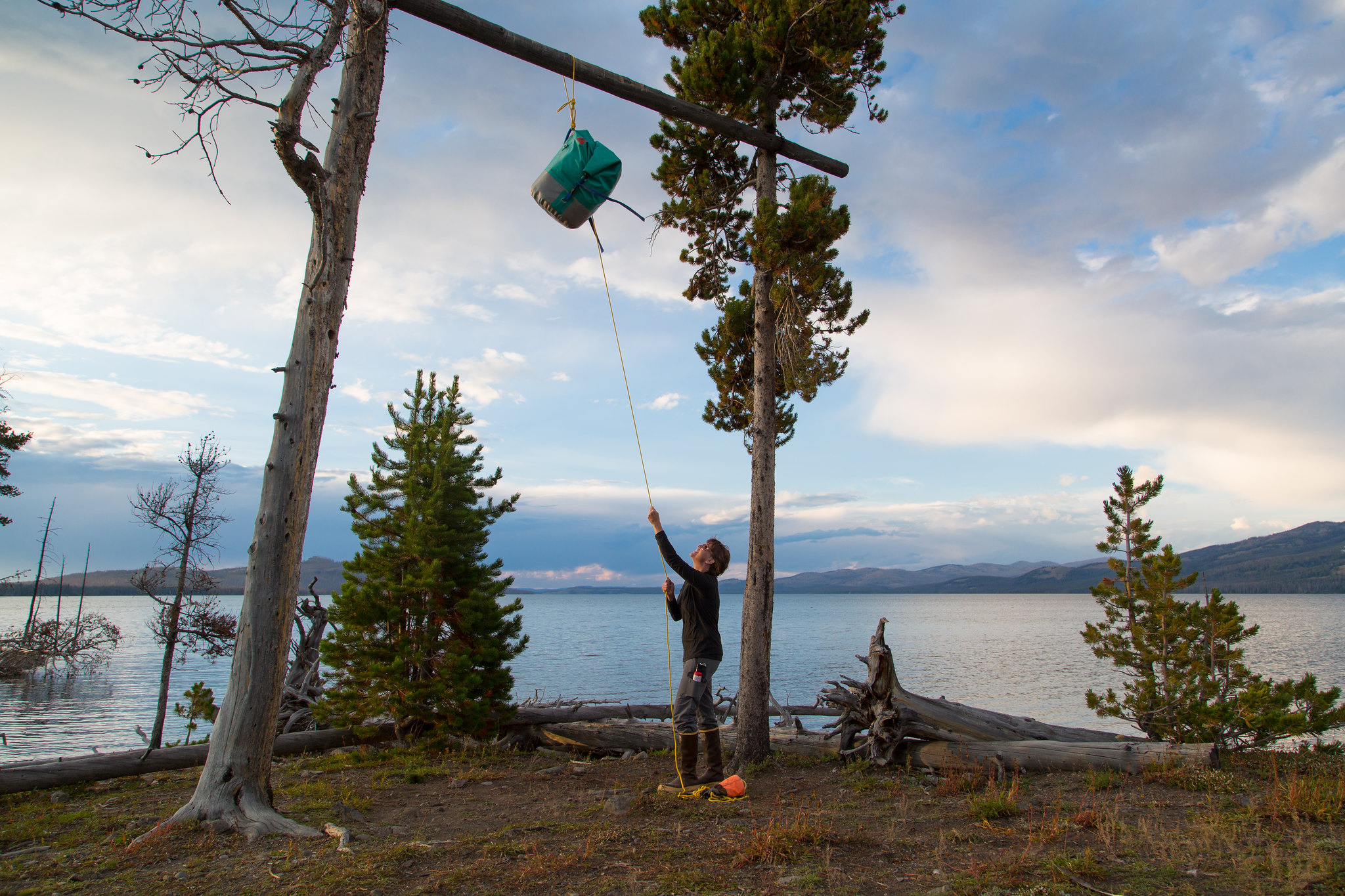 A person hanging a bag of food and other attractants from a food storage pole in a backcountry campsite near Yellowstone Lake.