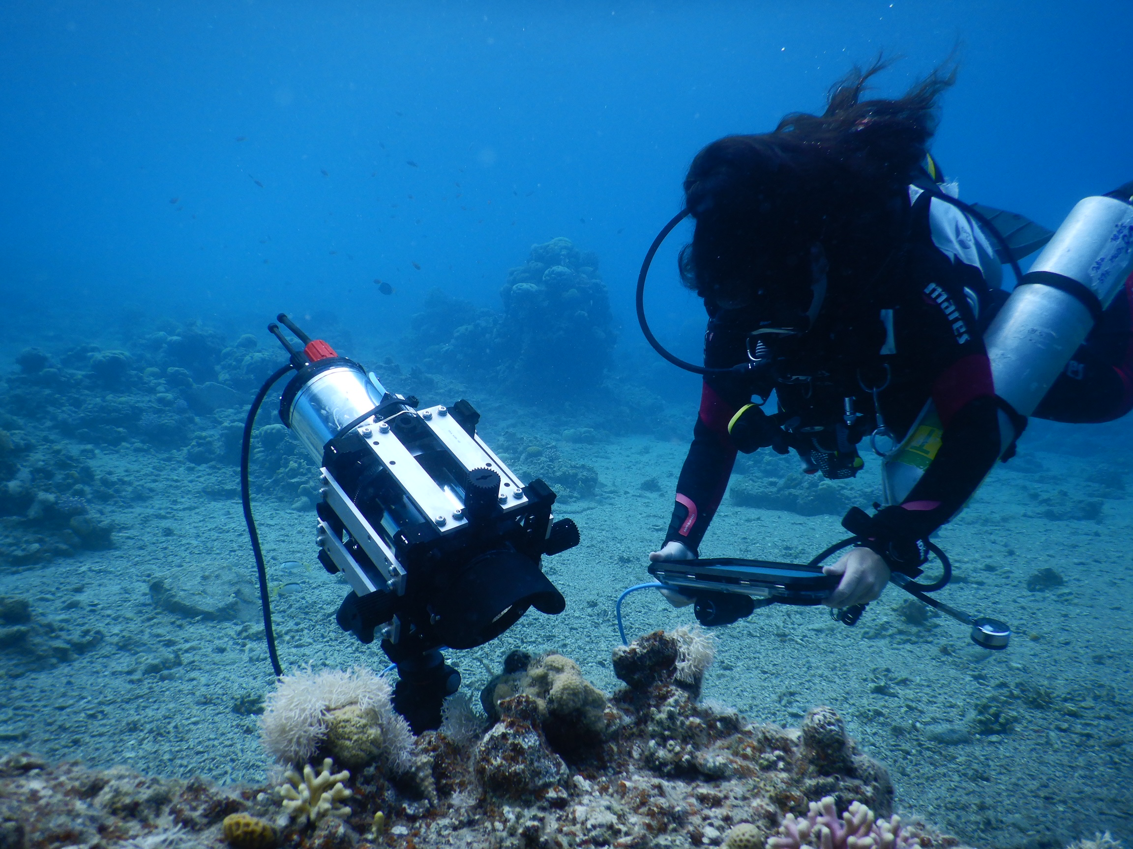 A diver holds a screen next to the new microscope that is pointed at some coral on the sea floor. Fish and other corals can be seen in the background.