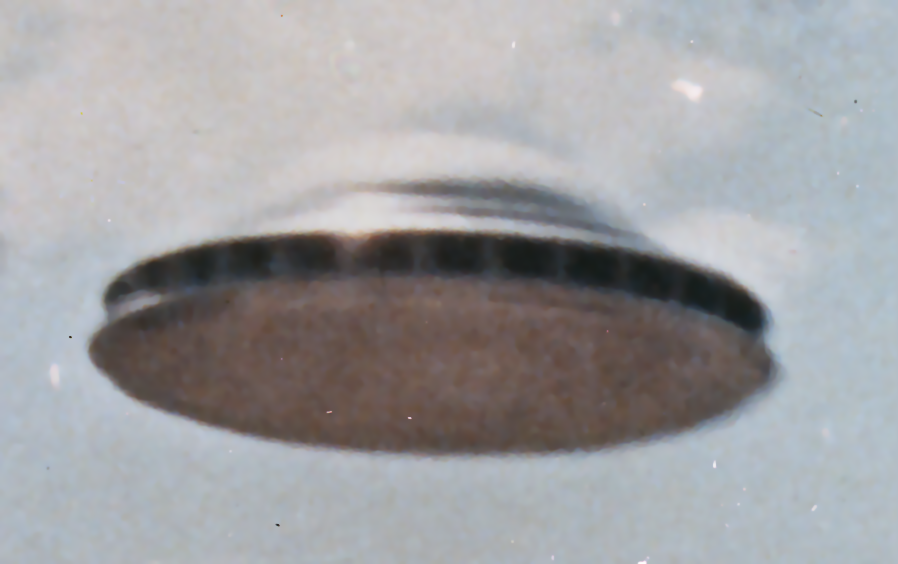 A blurred photo of a supposed flying saucer. The object looks like a music symbol and is suspended in an otherwise blue and cloudy sky. A blurred photo of a supposed flying saucer. The object looks like a music symbol and is suspended in an otherwise blue and cloudy sky.