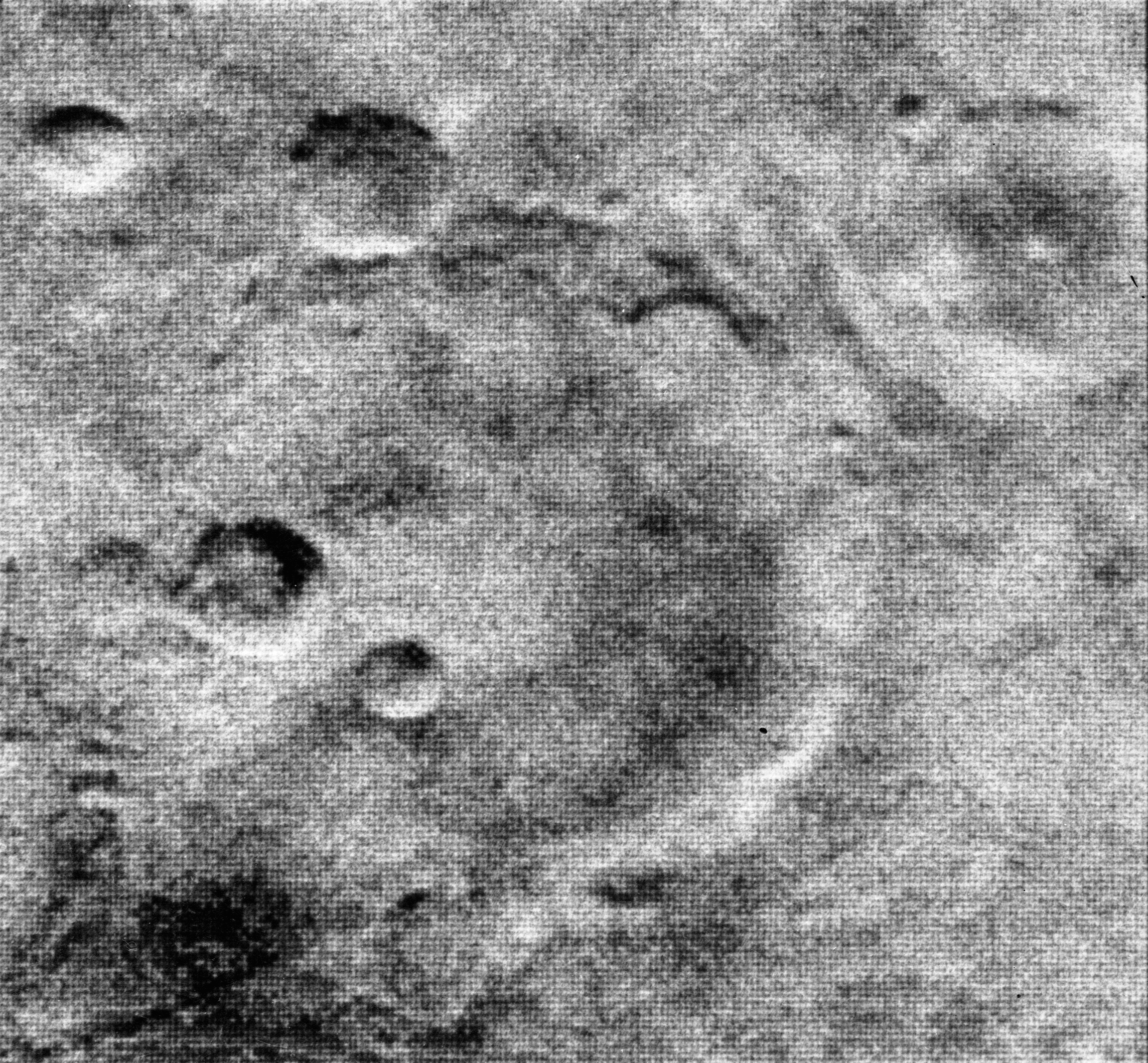 the grainy grayscale image show several small craters within a larger one. the grainy grayscale image show several small craters within a larger one.