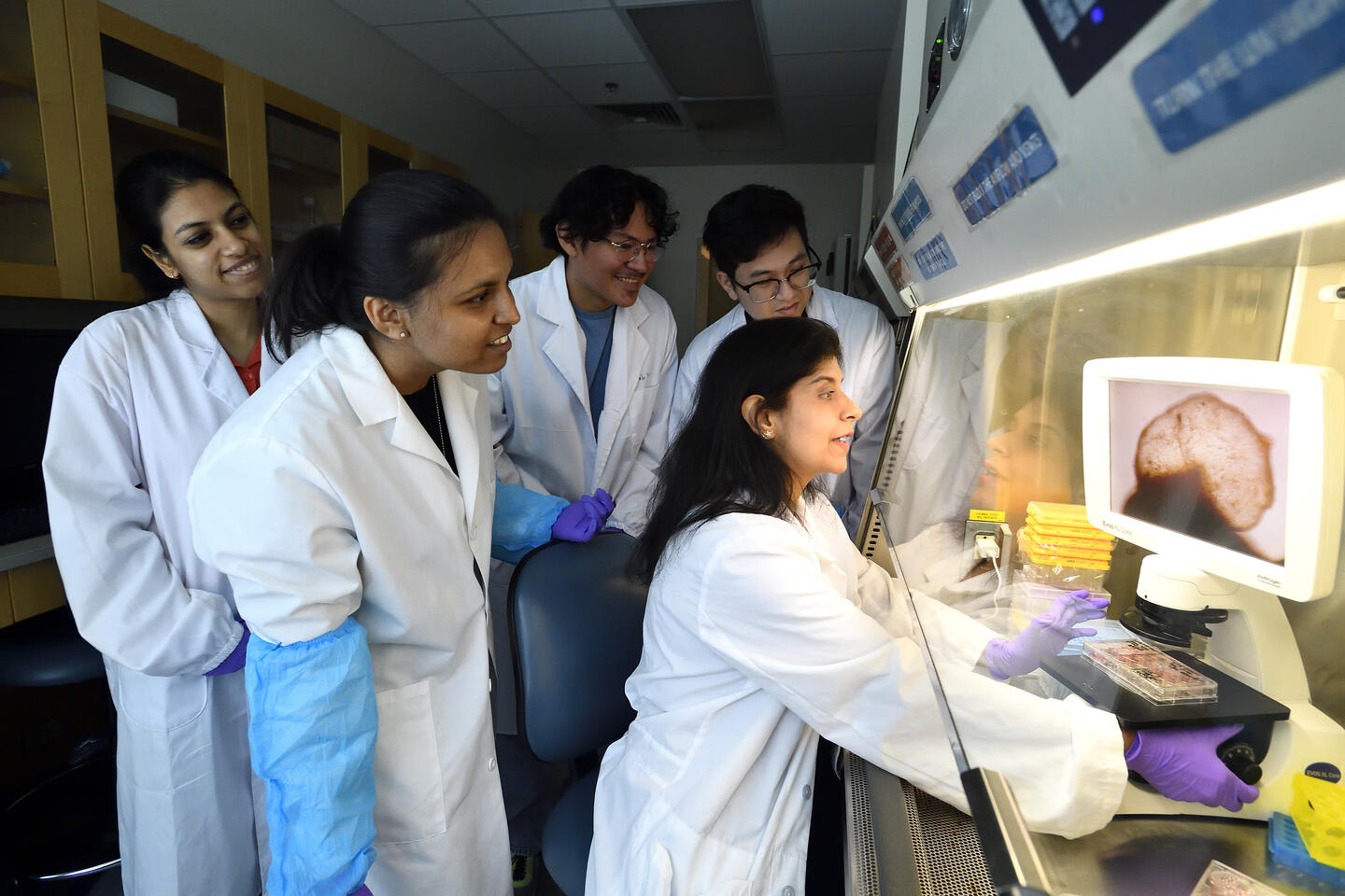 Annie Kathuria and team, all wearing lab coats, gathering round a culture hood and looking at a screen showing an image of an organoid Annie Kathuria and team, all wearing lab coats, gathering round a culture hood and looking at a screen showing an image of an organoid