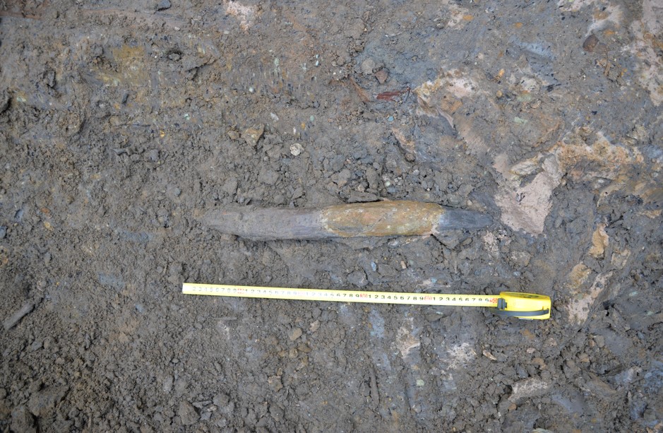 300,000-year-old wooden tool from Gantangqing
