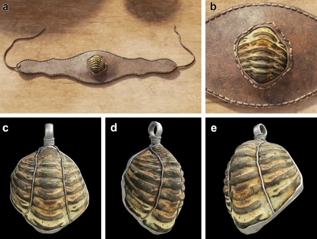 Roman trilobite fossil mounted on jewelry Roman trilobite fossil mounted on jewelry