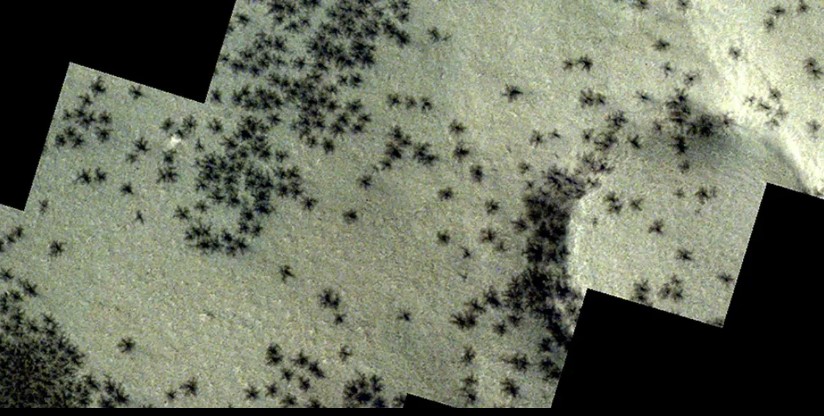 Spiders on Mars