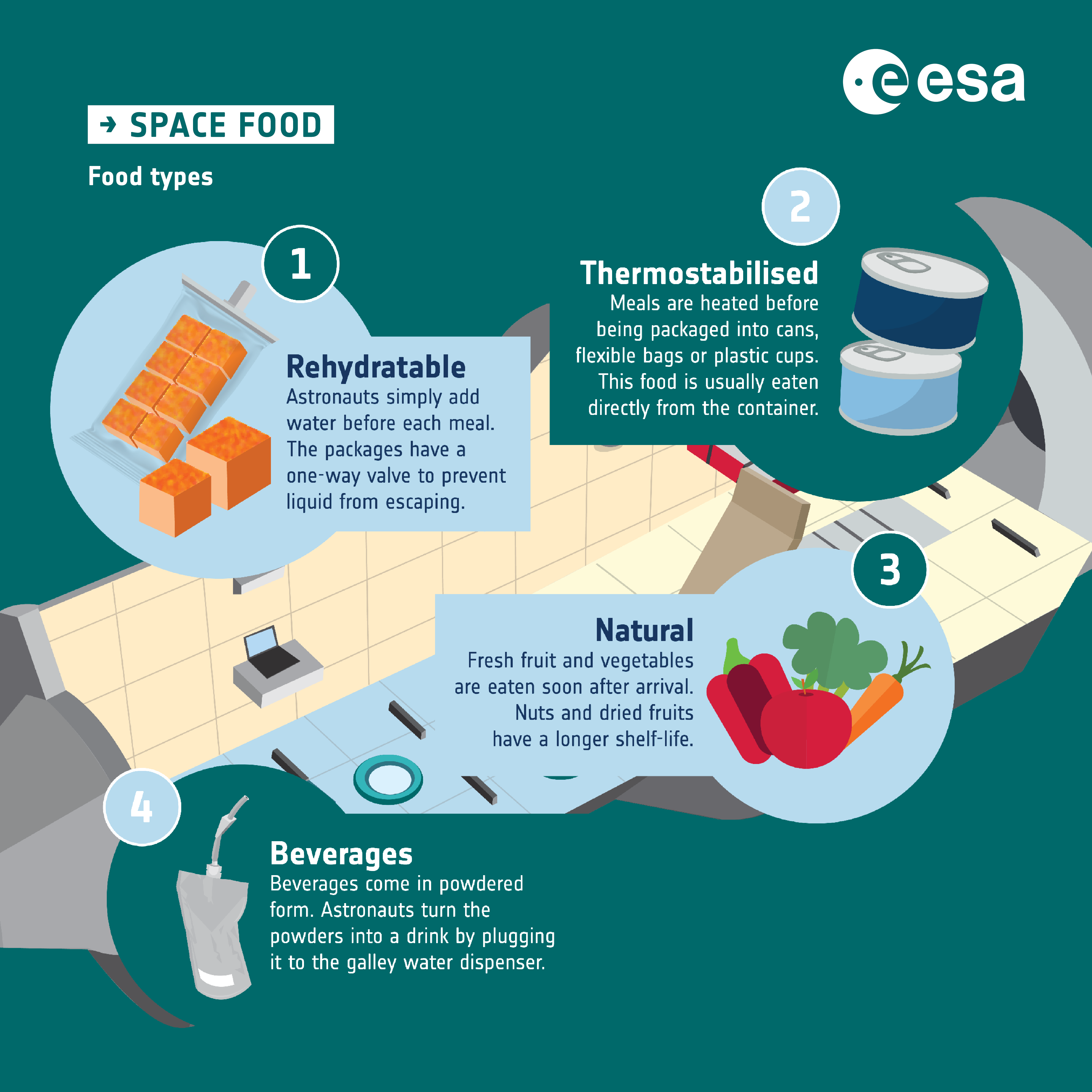 An infographic about requirements for SPACE FOOD First - Thermostabilised Meals are heated before being packaged into cans, flexible bags or plastic cups. This food is usually eaten directly from the container. Second - Rehydratable Astronauts simply add water before each meal. The packages have a one-way valve to prevent liquid from escaping. Third -Natural Fresh fruit and vegetables are eaten soon after arrival. Nuts and dried fruits have a longer shelf-life. Fourth -Beverages Beverages come in powdered form. Astronauts turn the powders into a drink by plugging it to the galley water dispenser.