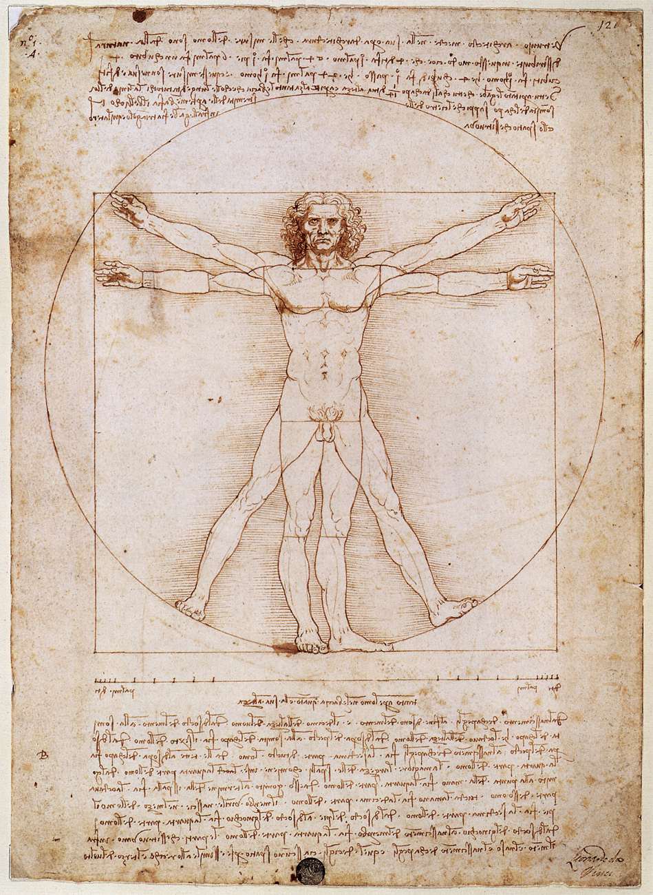 The page from Leonardo's notebook featuring the Vitruvian man