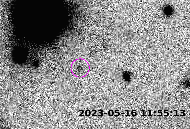 Ammonite; a new object in our solar system, captured over several hours. Ammonite; a new object in our solar system, captured over several hours.