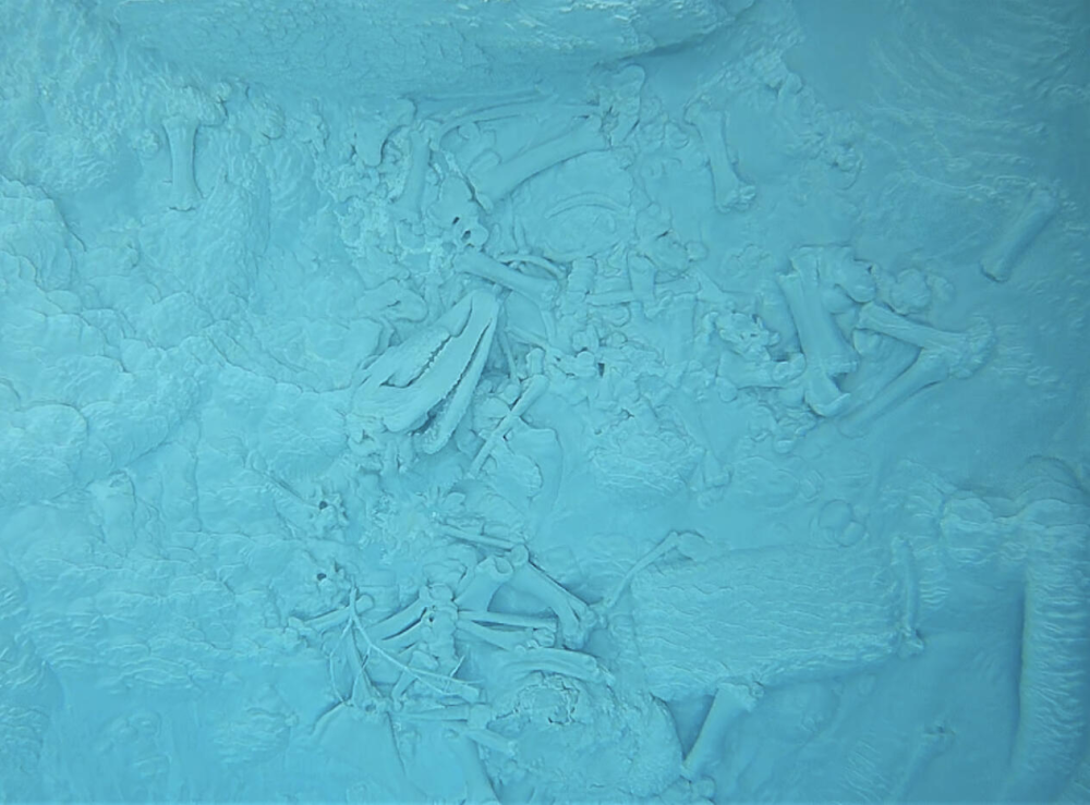 Elk skeleton at the bottom of Doublet Pool on Geyser Hill near Old Faithful, imaged by an underwater camera in 2022. Elk skeleton at the bottom of Doublet Pool on Geyser Hill near Old Faithful, imaged by an underwater camera in 2022.