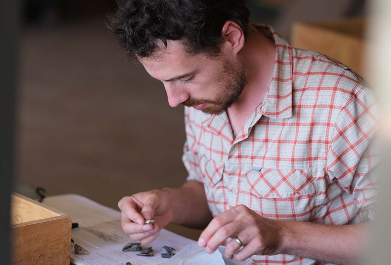 Daniel Green examining fossils from a northern Kenyan site called Napudet, which was a part of our study. Daniel Green examining fossils from a northern Kenyan site called Napudet, which was a part of our study.